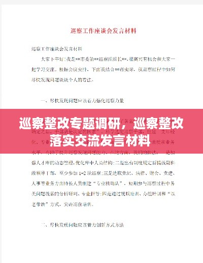 巡察整改專題調(diào)研，巡察整改落實(shí)交流發(fā)言材料 