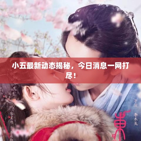 小五最新動態(tài)揭秘，今日消息一網(wǎng)打盡！