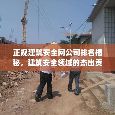 正規(guī)建筑安全網(wǎng)公司排名揭秘，建筑安全領域的杰出貢獻者