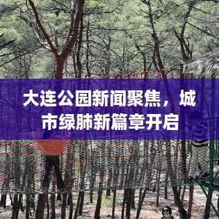 大連公園新聞聚焦，城市綠肺新篇章開(kāi)啟