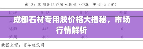 成都石材專用膠價格大揭秘，市場行情解析
