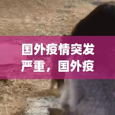 國(guó)外疫情突發(fā)嚴(yán)重，國(guó)外疫情形勢(shì)嚴(yán)峻 