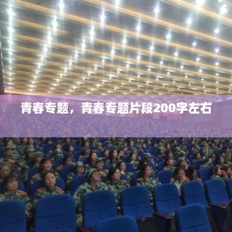 青春專題，青春專題片段200字左右 