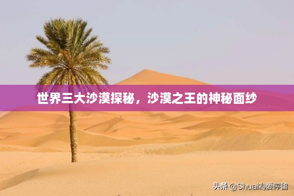世界三大沙漠探秘，沙漠之王的神秘面紗