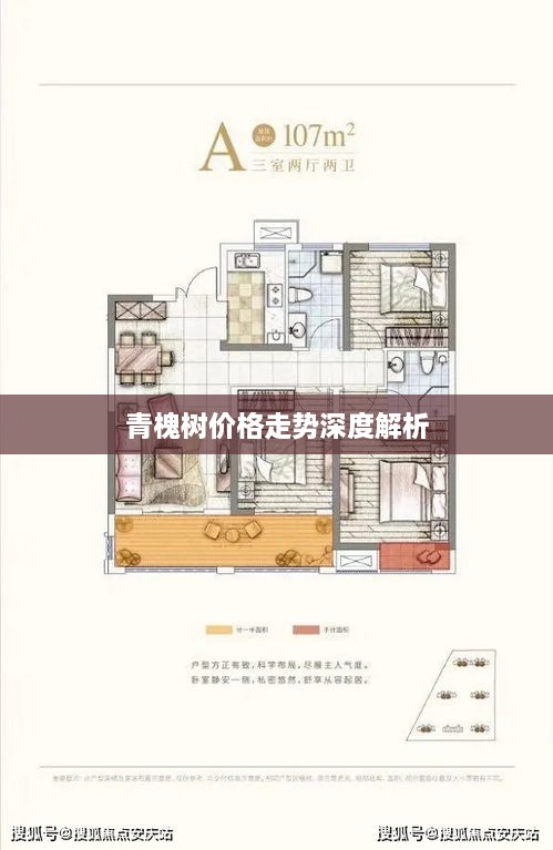 青槐樹價(jià)格走勢(shì)深度解析