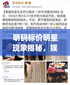 明碼標(biāo)價(jià)明星現(xiàn)象揭秘，娛樂(lè)圈的新挑戰(zhàn)與觀察
