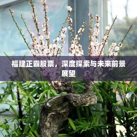 福建正霸股票，深度探索與未來(lái)前景展望