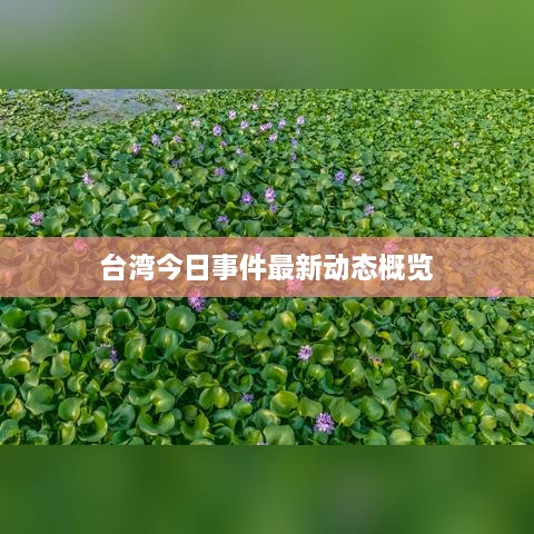 臺灣今日事件最新動態(tài)概覽