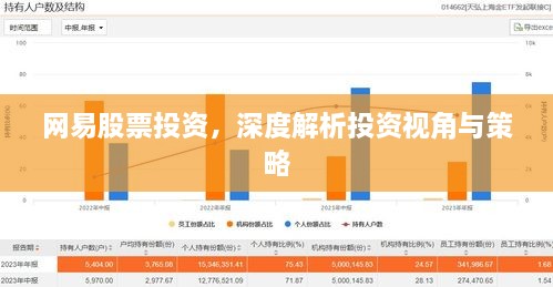 網(wǎng)易股票投資，深度解析投資視角與策略
