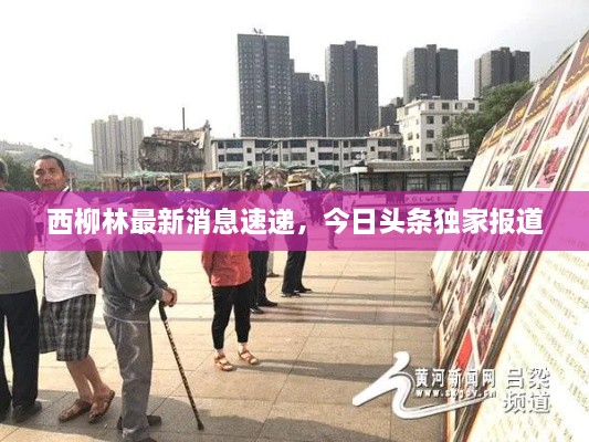 西柳林最新消息速遞，今日頭條獨(dú)家報(bào)道