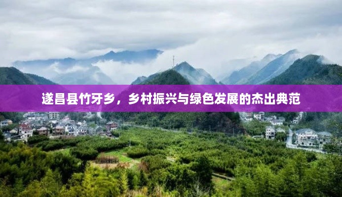 遂昌縣竹牙鄉(xiāng)，鄉(xiāng)村振興與綠色發(fā)展的杰出典范
