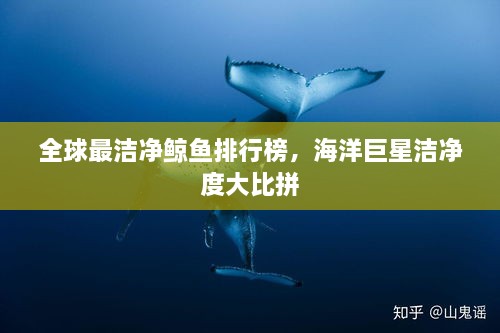 全球最潔凈鯨魚排行榜，海洋巨星潔凈度大比拼