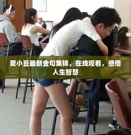 愛小豆最新金句集錦，在線觀看，感悟人生智慧