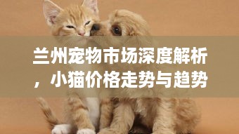 蘭州寵物市場深度解析，小貓價格走勢與趨勢探尋