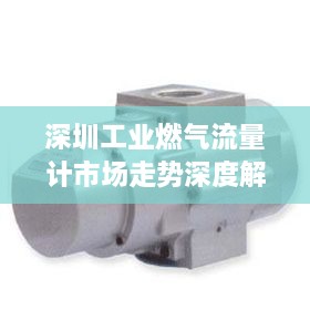 深圳工業(yè)燃?xì)饬髁坑嬍袌鲎邉萆疃冉馕? class=