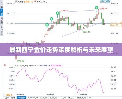 最新西寧金價走勢深度解析與未來展望