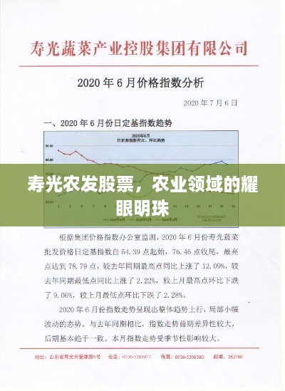 壽光農(nóng)發(fā)股票，農(nóng)業(yè)領(lǐng)域的耀眼明珠
