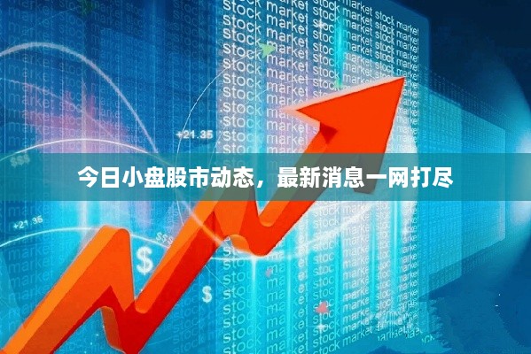 今日小盤股市動態(tài)，最新消息一網(wǎng)打盡