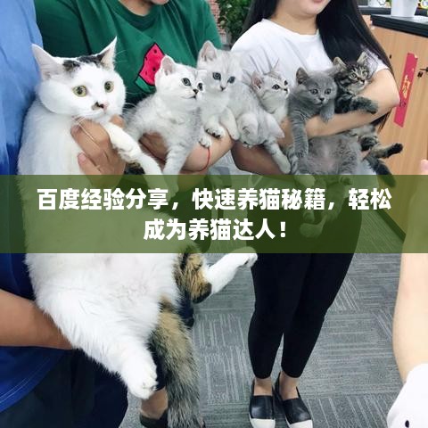 百度經(jīng)驗(yàn)分享，快速養(yǎng)貓秘籍，輕松成為養(yǎng)貓達(dá)人！