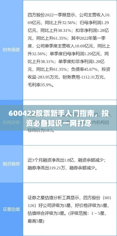 600422股票新手入門指南，投資必備知識一網(wǎng)打盡