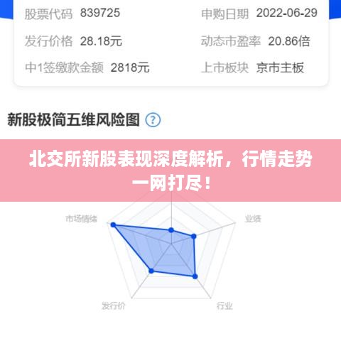北交所新股表現(xiàn)深度解析，行情走勢(shì)一網(wǎng)打盡！