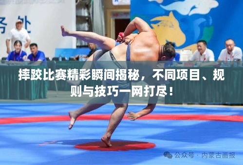 摔跤比賽精彩瞬間揭秘，不同項(xiàng)目、規(guī)則與技巧一網(wǎng)打盡！