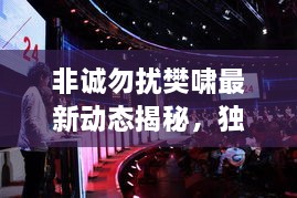 非誠勿擾樊嘯最新動(dòng)態(tài)揭秘，獨(dú)家爆料吸引眼球！